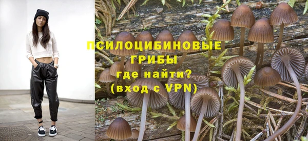 бошки Осинники