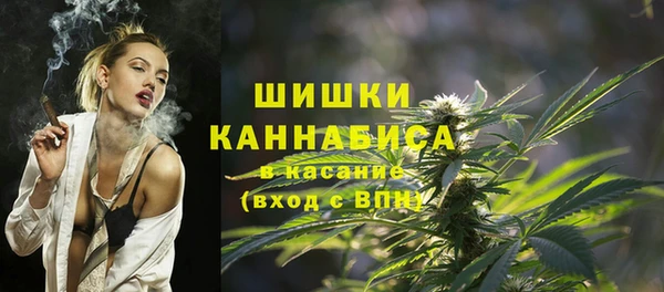 ПСИЛОЦИБИНОВЫЕ ГРИБЫ Абаза