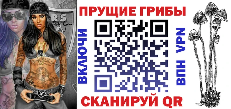 закладка  Кизляр  Галлюциногенные грибы мицелий 